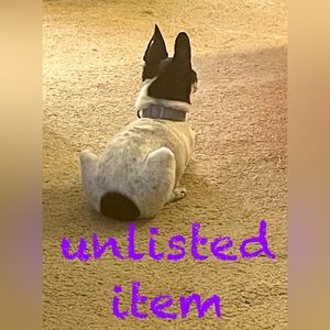 Unlisted Item